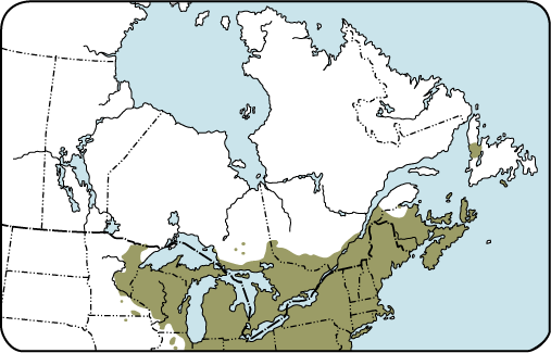 Carte de distribution - houx verticillé