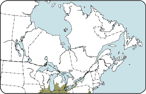 Carte de distribution - ptéléa trifolié